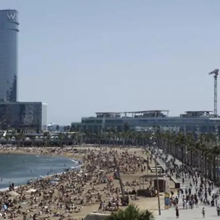 Lägenhet Loft No Compartido Centro De *